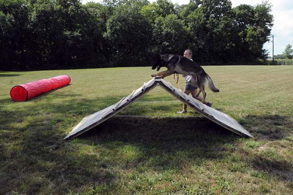 Boogaard (German Shepherd) - Boot Camp Dog Training