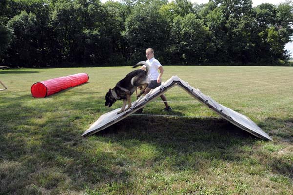 Boogaard (German Shepherd) - Boot Camp Dog Training