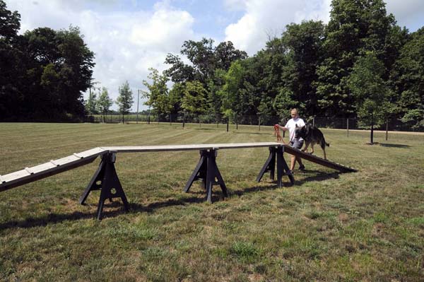 Boogaard (German Shepherd) - Boot Camp Dog Training