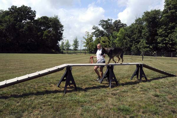 Boogaard (German Shepherd) - Boot Camp Dog Training