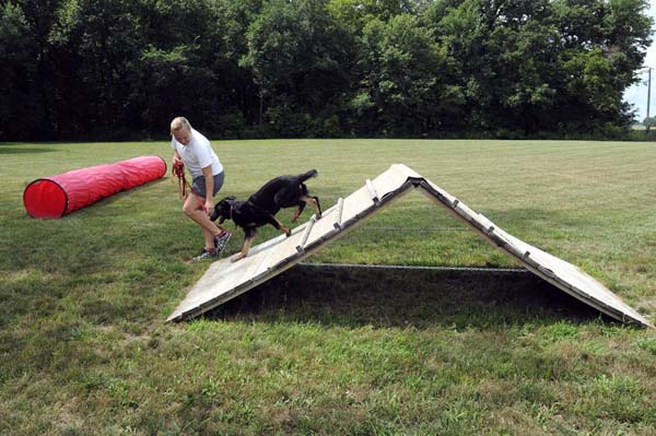 Charming (German Shepherd) - Boot Camp Dog Training