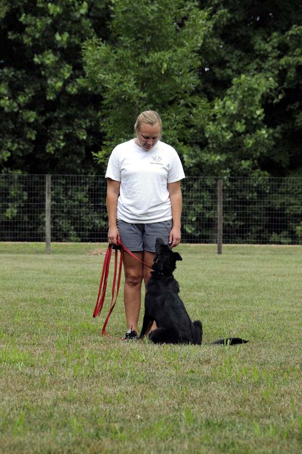 Charming (German Shepherd) - Boot Camp Dog Training