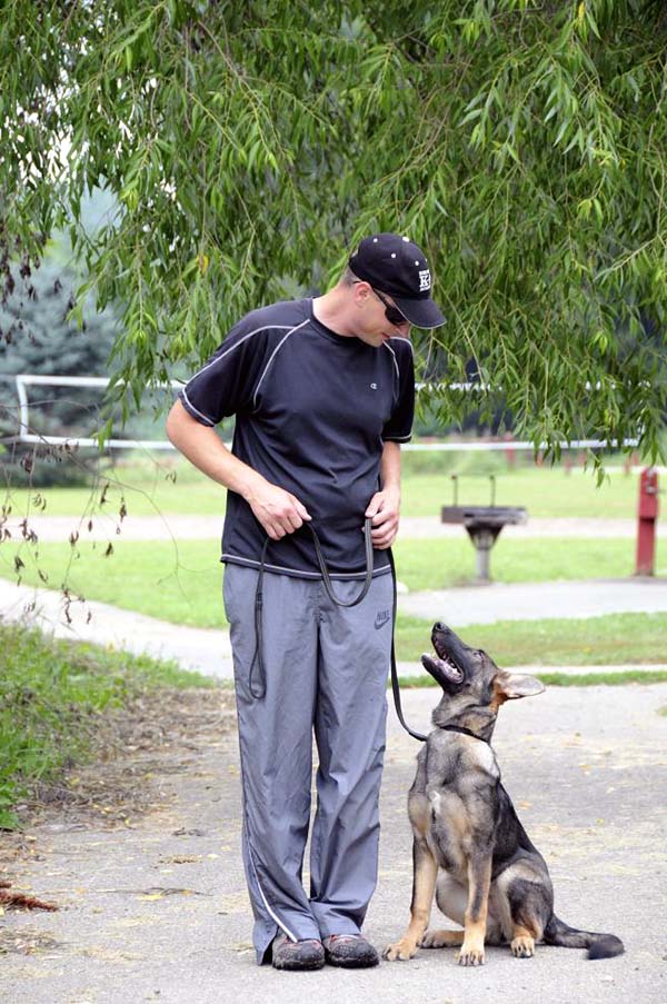 Charming (German Shepherd) - Boot Camp Dog Training