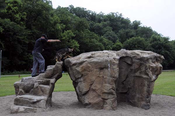 Cookie (German Shepherd) - Boot Camp Dog Training