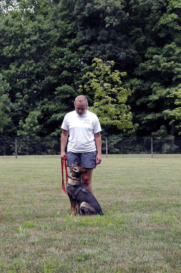 Cookie (German Shepherd) - Boot Camp Dog Training