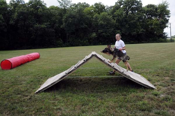 Cookie (German Shepherd) - Boot Camp Dog Training