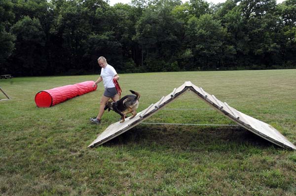 Cookie (German Shepherd) - Boot Camp Dog Training