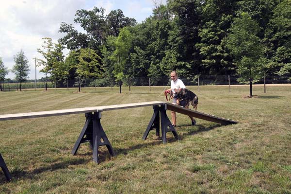 Cookie (German Shepherd) - Boot Camp Dog Training