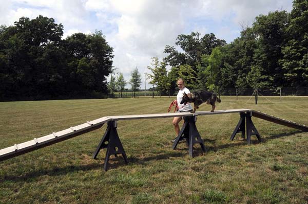 Cookie (German Shepherd) - Boot Camp Dog Training