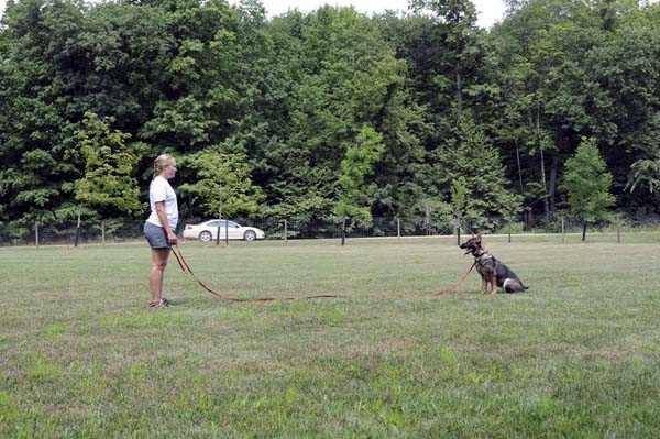 Cookie (German Shepherd) - Boot Camp Dog Training