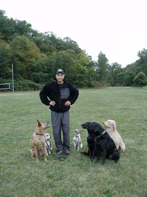 Josiah Neuman with pack of boot camp training dogs at state park