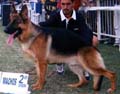 VA Jeremias Von Den Vier picture