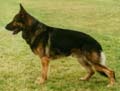 V Andy von der Lemper Heide Picture
