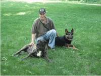 Schutzhund Sport Dogs