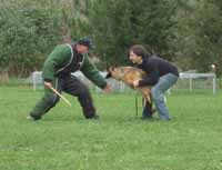 Working Shepherd Breeding Kennel