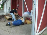 Working Shepherd Breeding Kennel