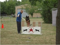 German Shepherd Breeder and Trainer