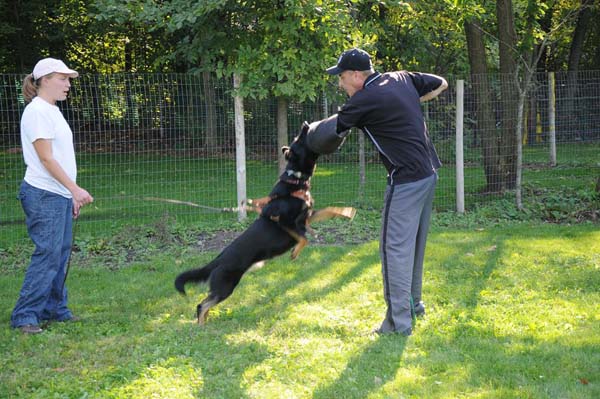 Hera - Personal Protection Training