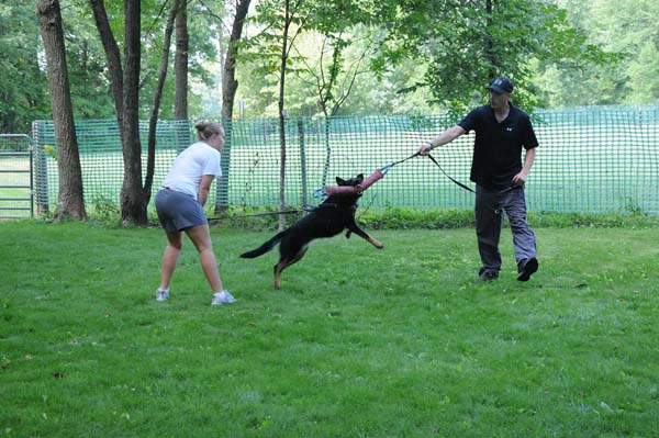 Hera - Personal Protection Training