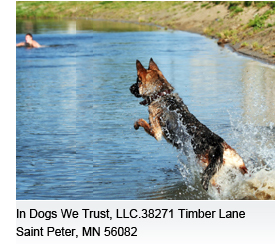 In Dogs We Trust, LLC.